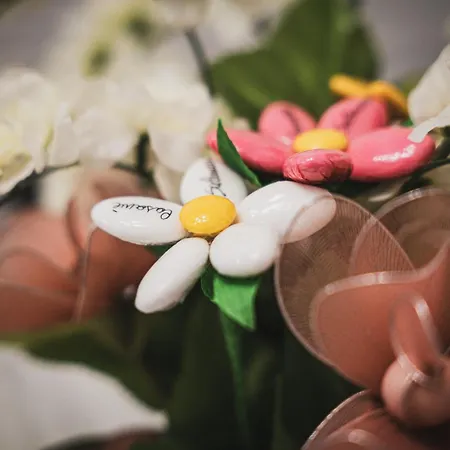 Appartement Casamè - A Due Passi Da Centro, Free Bike Park *